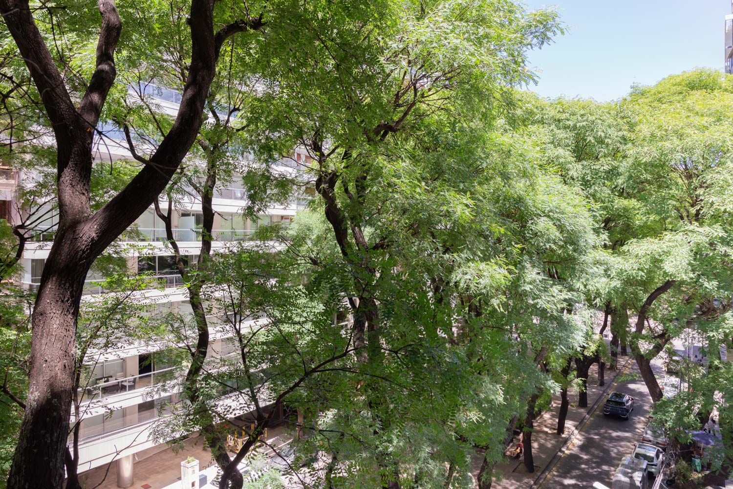 La Imprenta: la transformación de un rincón histórico en Palermo